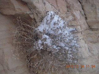 Zion National Park - cloudy, foggy Observation Point hike