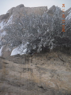 180 84q. Zion National Park - cloudy, foggy Observation Point hike