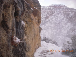 194 84q. Zion National Park - cloudy, foggy Observation Point hike