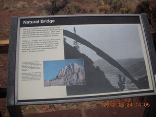 Zion National Park - cloudy, foggy Observation Point hike