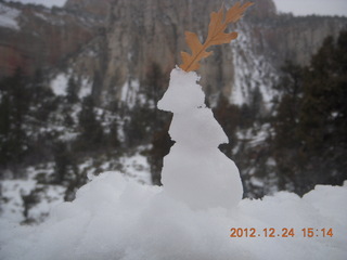 293 84q. Zion National Park - drive - small snowman