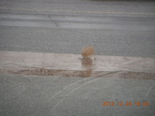 Chinle trailhead drive - tumbleweed