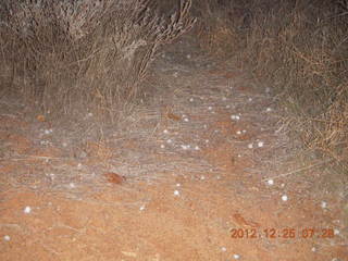 Zion National Park - Watchman hike - hailstone from last night