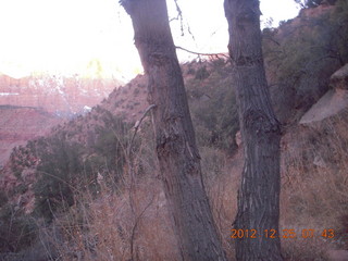 Zion National Park - Watchman hike