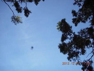 Kingman - Janet D taking a picture