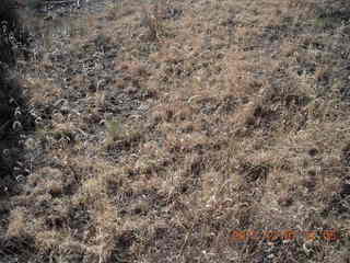 Tjapukai Aboriginal Cultural Park- Adam throwing a spear