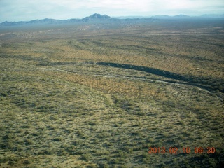 Eagle Roost - barrel cactus