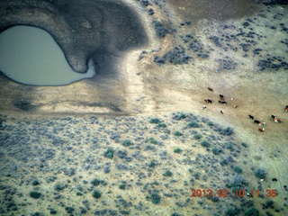 aerial - Eagle Roost flight in Charles R's airplane - watering hole (tank)