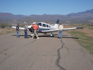 Grapevine fly-in