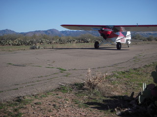 Bouquet Ranch - mini fly-in - bull