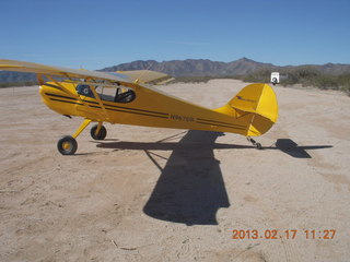 Motown - small Cub look-alike