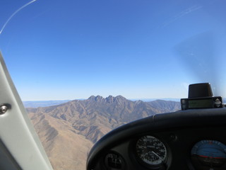 Sean G grapevine pictures