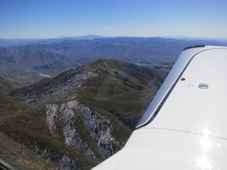 Sean G grapevine pictures