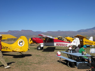 Sean G grapevine pictures - Grapevine airplanes
