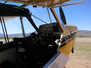 Sean G grapevine pictures