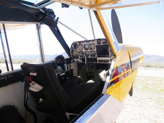 Sean G grapevine pictures - Grapevine from above