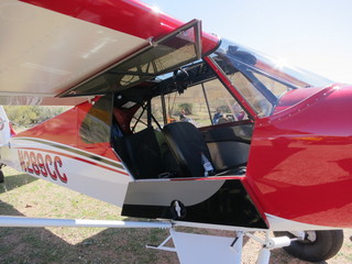 Sean G grapevine pictures - Grapevine