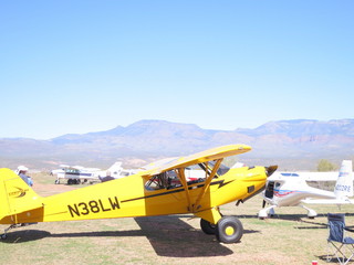Sean G grapevine pictures - Grapevine airplanes