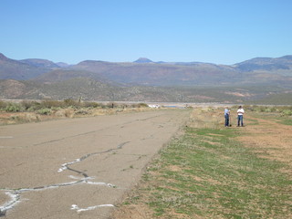 Sean G grapevine pictures - Grapevine