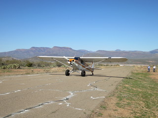 Sean G grapevine pictures - Grapevine airplanes