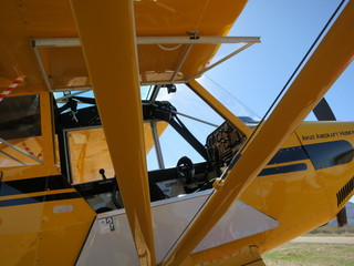 Sean G grapevine pictures - Grapevine