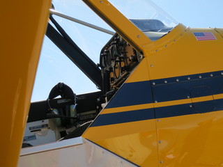 Sean G grapevine pictures - Grapevine