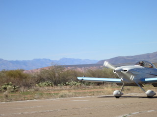 Sean G grapevine pictures - Grapevine