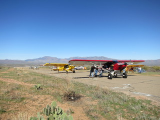 Bouquet Ranch - mini fly-in - bull