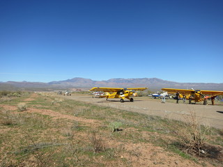 Sean G grapevine pictures - Grapevine to Bouquet Ranch