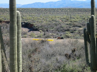 Sean G grapevine pictures - Bouquet Ranch - N8377W