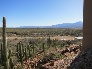 Sean G grapevine pictures - Bouquet Ranch - N8377W