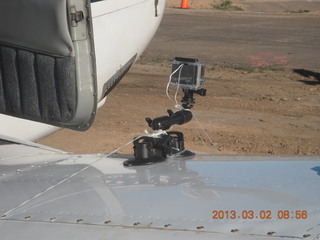 Young International (24AZ) - blowing grass