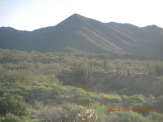 Lost Dog Wash hike - green desert