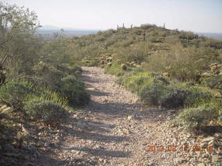 Lost Dog Wash hike - green desert