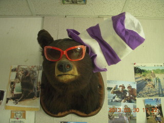 265 87w. Alamo Lake - Wayside Inn restaurant - dressed up bear