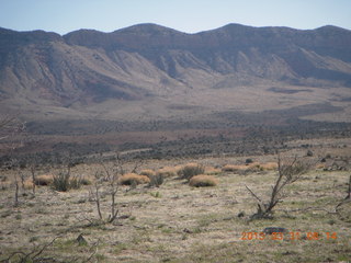 Grand Gulch airstrip - red flowers