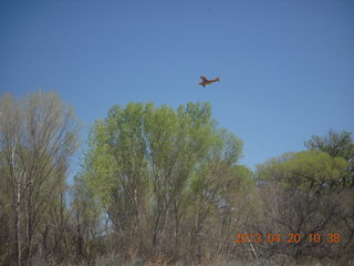 Double Circle Ranch at Eagle Creek - landing airplane