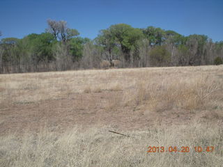 Double Circle Ranch at Eagle Creek - landing airplane