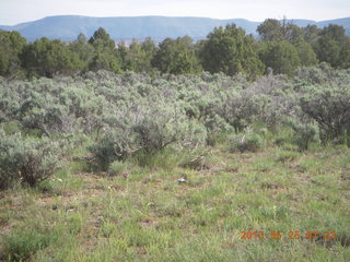 Dolores Point airstrip