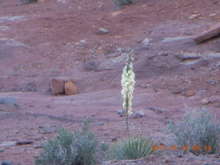 Fisher Towers trail