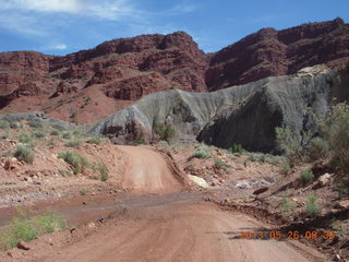 Onion Creek drive