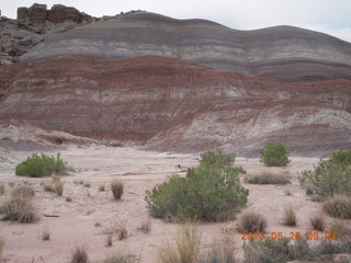 Caineville Wash Road