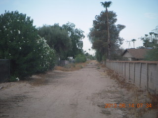 Lost Dog Wash hike - green desert = green Adam