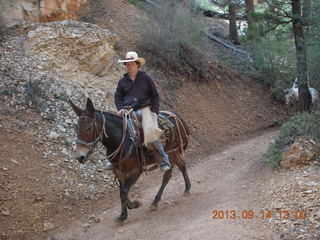 Bryce Canyon hike - mule rider