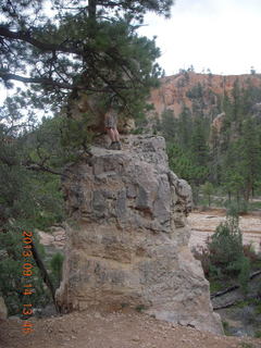 Bryce Canyon hike - climber