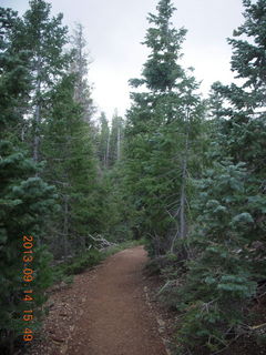 Bryce Canyon - Bristlecone Loop