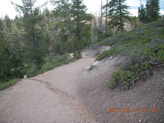 Bryce Canyon trail
