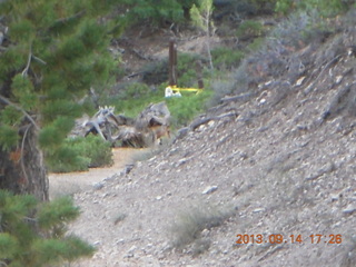 Bryce Canyon - trail