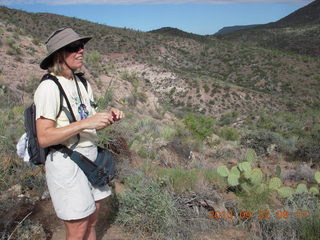 Elephant Mountain hike - cactus on my leg