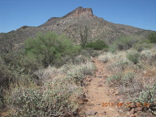 Elephant Mountain hike